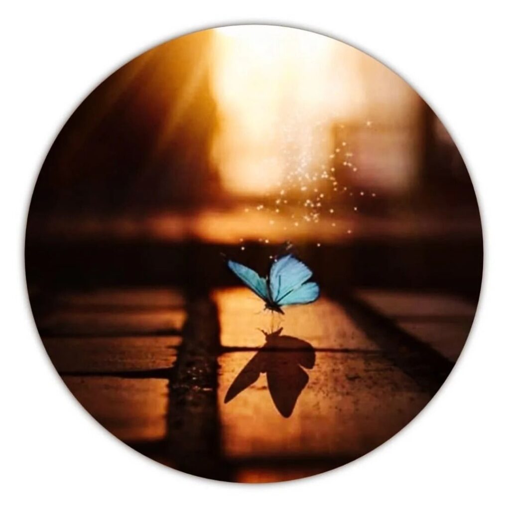 Nice Whatsapp DP 1 Nice Whatsapp DP 10003 3 Nice Whatsapp DP