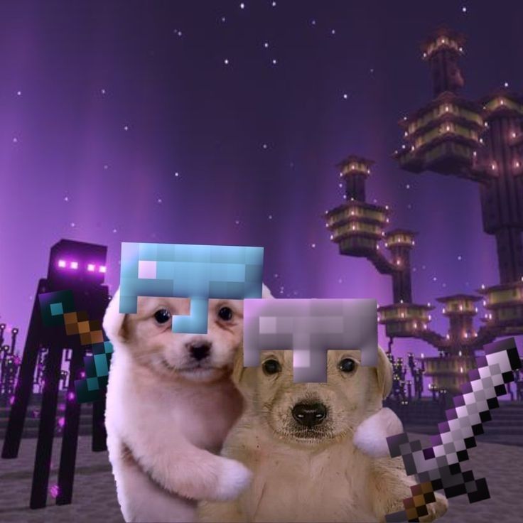 Minecraft 3 Minecraft 10043 19 Minecraft