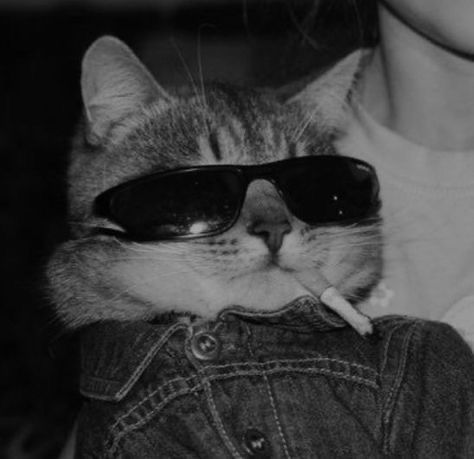 Chill 12 Chill 10044 Chill