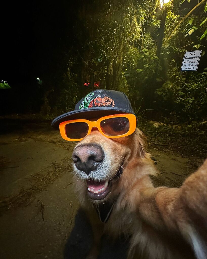 Goofy 14 Goofy 10045 13 Goofy