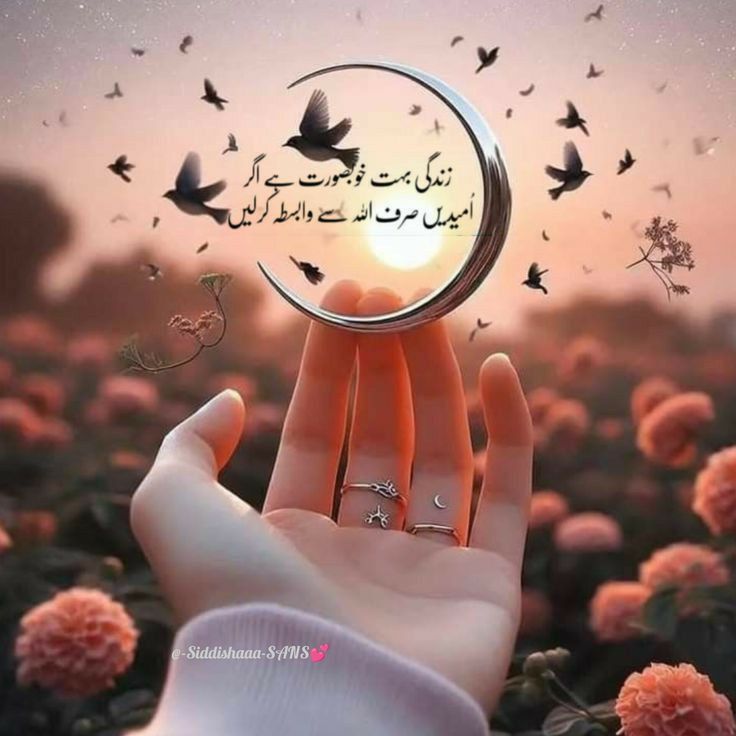 Nice Whatsapp DP 13 Nice Whatsapp DP 10047 14 Nice Whatsapp DP