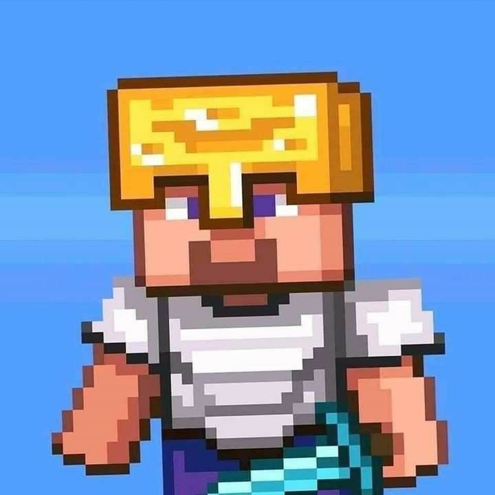 Minecraft 12 Minecraft 10060 17 Minecraft
