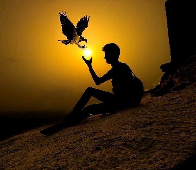 Nice Whatsapp DP 27 Nice Whatsapp DP 10081 16 Nice Whatsapp DP