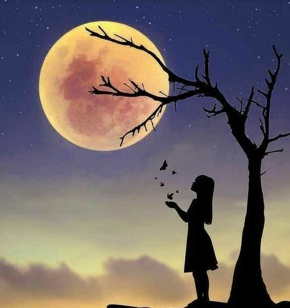 Nice Whatsapp DP 29 Nice Whatsapp DP 10085 14 Nice Whatsapp DP