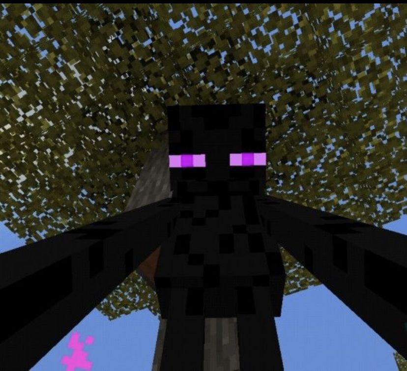 Minecraft 30 Minecraft 10095 19 Minecraft