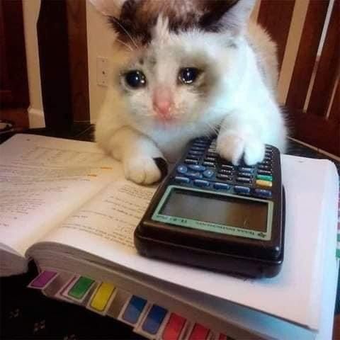 For school 54 For school 10106 4 For school