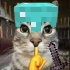 Minecraft 43 Minecraft 10122 22 Minecraft