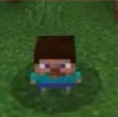 Minecraft 48 Minecraft 10156 11 Minecraft