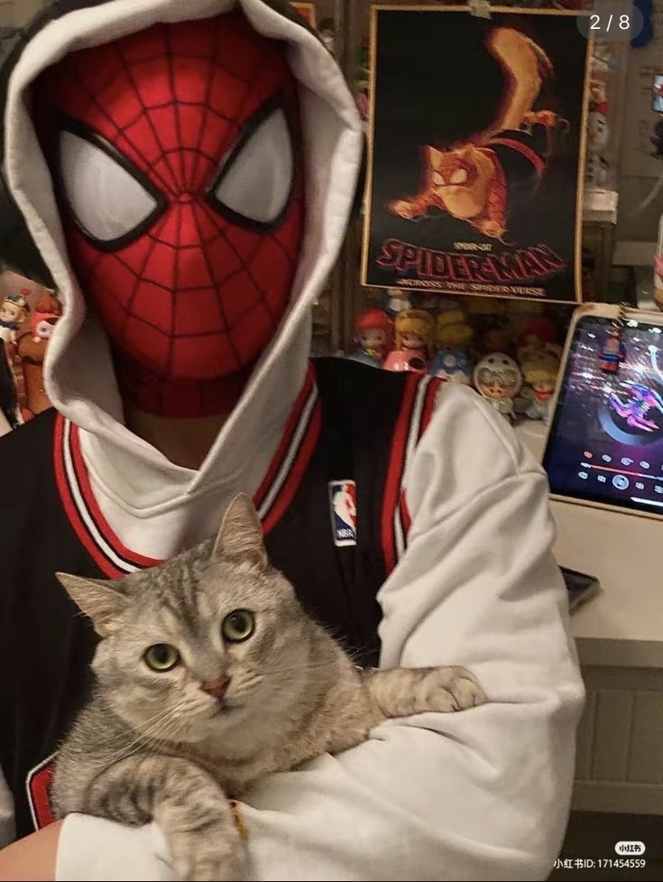 Miles Morales 91 Miles Morales 10233 Miles Morales